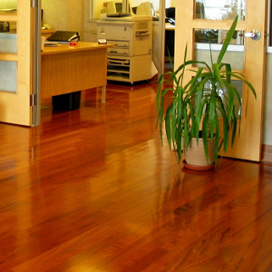 polished wood floor